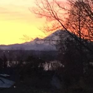 Meet your Posher, Harla